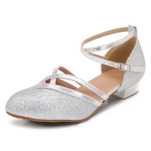 Silver Ballroom Dance Shoes